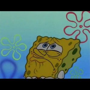 Meet your Posher, Jen